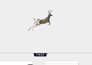 design professional deer logo